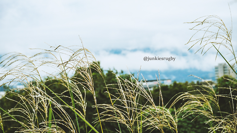 10月26日は雨の中での練習でした。てっきり中止かと思って油断してたら「やるぞ!!!」と連絡がきて「冗談でしょ?笑」ってなった【2025.10.26活動報告】